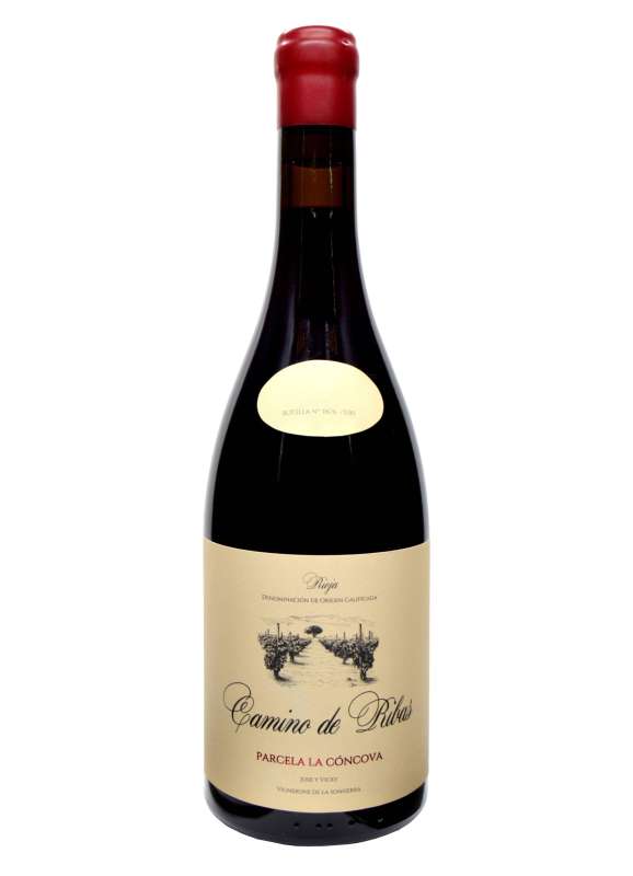  Jose Gil Camino de Ribas Parcela La Cóncova