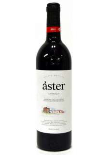 Red wine Aster
