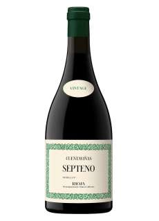 Red wine Cuentaviñas Septeno