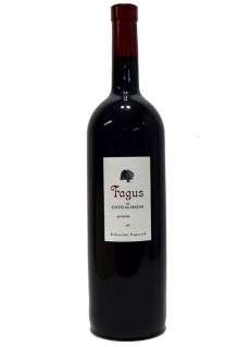 Red wine Fagus (Magnum)