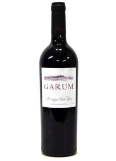 Red wine Garum