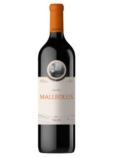 Red wine Malleolus