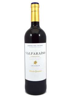 Red wine Marqués de Valparaíso