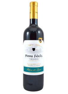 Red wine Pinna Fidelis  2021 - 3 Uds.