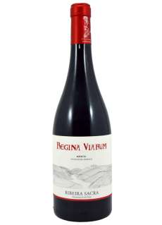 Red wine Regina Viarum Mencía 2024 - 3 Uds.
