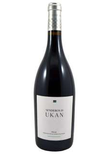 Red wine Senderos de Ukan