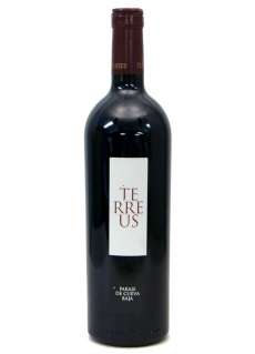 Red wine Terreus
