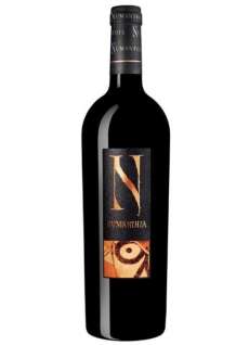 Red wine Valenciso 10 Años Después