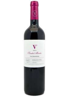 Red wine Valtravieso