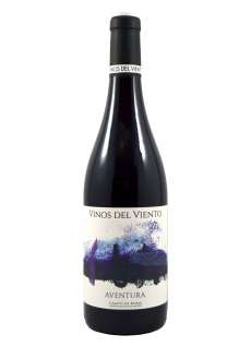 Red wine Vinos del Viento - Aventura