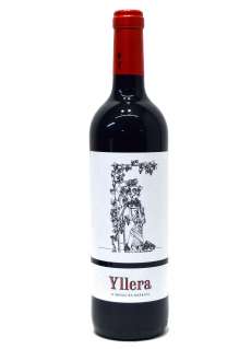 Red wine Yllera 12 Meses
