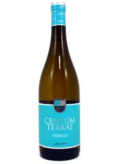 White wine Centum Terrae Godello