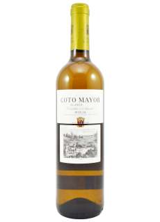 White wine Coto Mayor Sauvignon Blanc