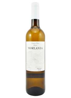 White wine Morlanda Blanc