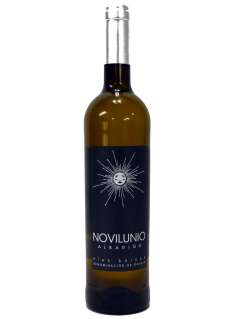 White wine Novilunio Albariño
