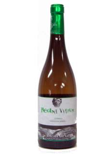 White wine Regina Viarum Godello